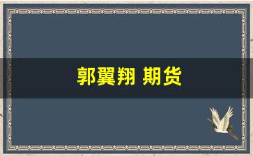 郭翼翔 期货(郭鹤年 期货)_https://www.fzdzcxj.com_科创板_第1张